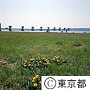 利根川河口ぜき