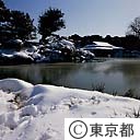 清澄庭園の雪