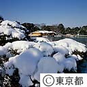 浜離宮の雪