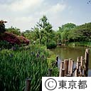 向島百花園