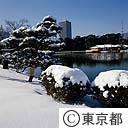 浜離宮庭園の雪