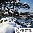 雪の浜離宮庭園