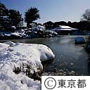 雪の清澄庭園