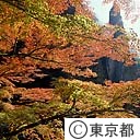 日原ぼんてん岩の紅葉