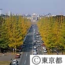 神宮外苑のイチョウ並木の紅葉