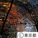 日原渓谷の紅葉