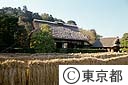 カヤぶき屋根の小泉家屋敷