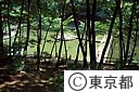 野山北公園