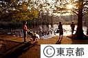 晩秋の石神井公園
