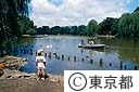 善福寺公園