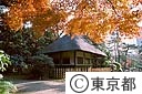 後楽園の紅葉