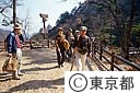 都民の森