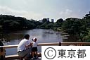 新宿御苑