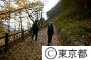 都民の森
