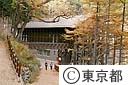 都民の森