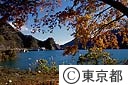 奥多摩湖の紅葉