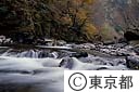 日原川の清流