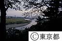 多摩川台公園
