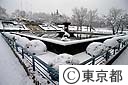 雪の飛鳥山公園