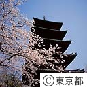 桜の池上本門五寺重塔