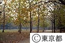 蘆花公園