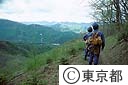 水源林（みどり）