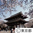 池上本門寺