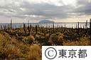 三宅島から御蔵島を望む