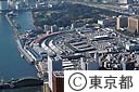 築地中央卸売市場