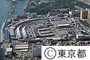 築地中央卸売市場