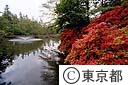 井の頭公園