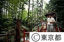 真姿の池