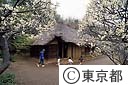 薬師池公園