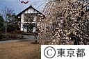 郷土の森