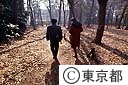 雑木林の道