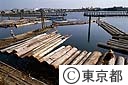 木場