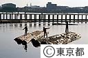 木場