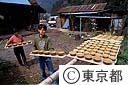 陶器作り・作品の天日ぼし