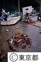 海でとれた魚