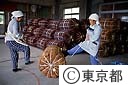 てんぐさの出荷作業