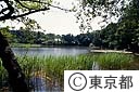 三宝寺池