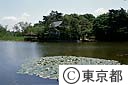 三宝寺池