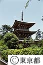 五重の塔