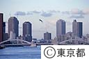 勝鬨橋と高層ビル群