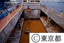 外国船から原糖を倉庫へおろす大井コンテナ埠頭