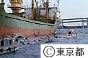 輸入原木の海上投下