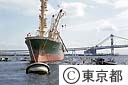 輸入原木の海上投下