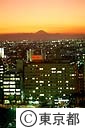 都庁舎から富士山を見る