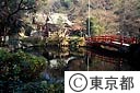 貫井神社の池
