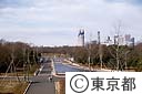 代々木公園